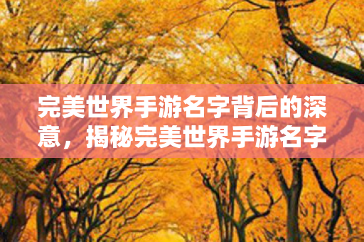 揭秘完美世界手游名字背后的深意图片