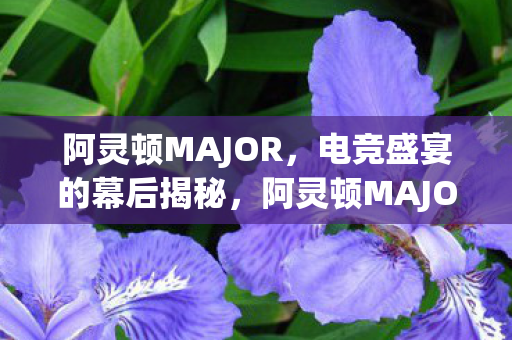 电竞盛宴的幕后揭秘图片