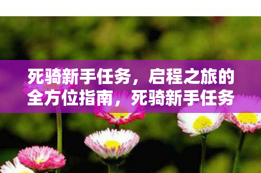 启程之旅的全方位指南图片