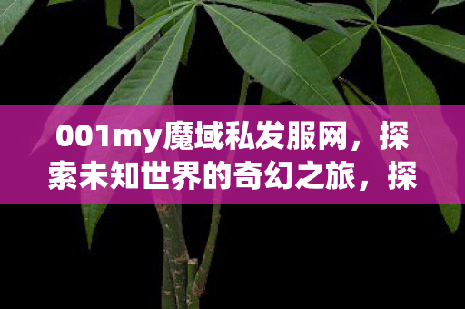 001my魔域私发服网，探索未知世界的奇幻之旅，探索魔域私发服网，奇幻之旅的启程