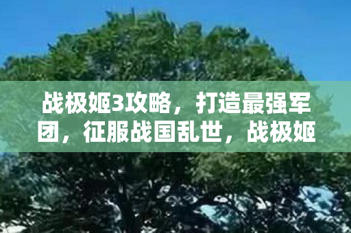 战极姬3攻略,打造最强军团,征服战国乱世,战极姬3,打造最强军团,征服战国乱世攻略 战极姬3攻略,打造最强军团,征服战国乱世,战极姬3,打造最强军团,征服战国乱世攻略