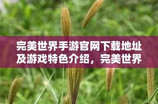 完美世界手游官网下载地址及游戏特色介绍图片