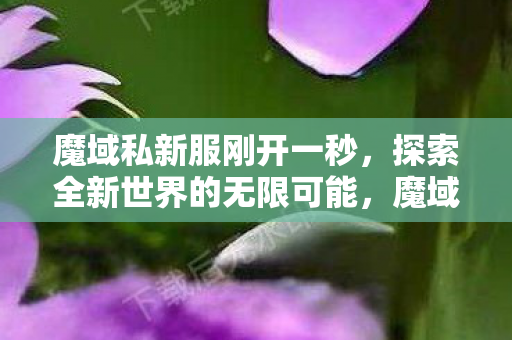 探索全新世界的无限可能图片