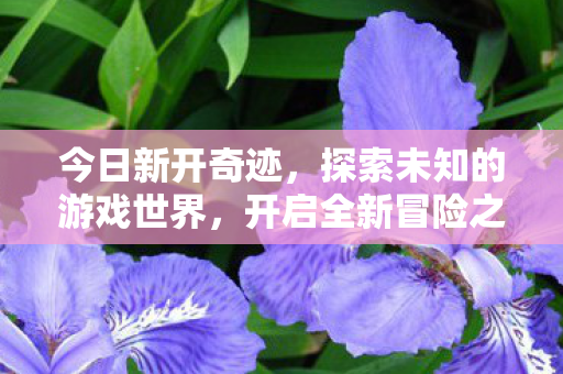 开启全新游戏世界冒险之旅图片