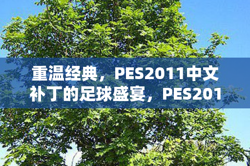 重温经典,PES2011中文补丁的足球盛宴,PES2011中文补丁,重温经典,畅享足球盛宴 重温经典,PES2011中文补丁的足球盛宴,PES2011中文补丁,重温经典,畅享足球盛宴