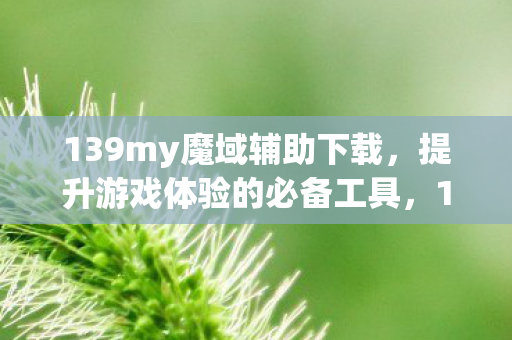 139my魔域辅助下载图片