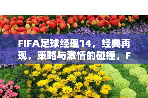 策略与激情的碰撞再现经典图片
