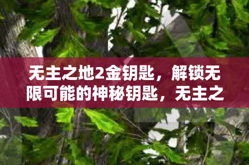 解锁无限可能的神秘钥匙图片