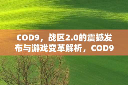 COD9,战区2.0的震撼发布与游戏变革解析,COD9战区2.0震撼发布,游戏变革全面解析 COD9,战区2.0的震撼发布与游戏变革解析,COD9战区2.0震撼发布,游戏变革全面解析