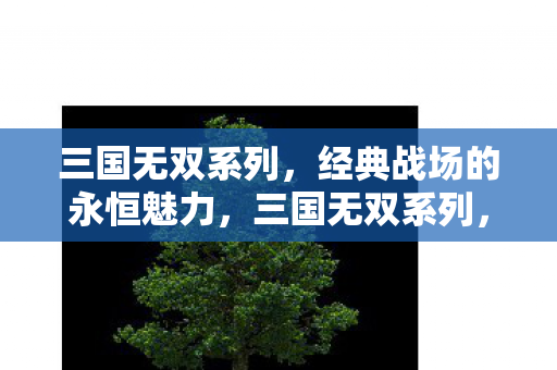 三国无双系列,经典战场的永恒魅力,三国无双系列,经典战场永恒魅力 三国无双系列,经典战场的永恒魅力,三国无双系列,经典战场永恒魅力
