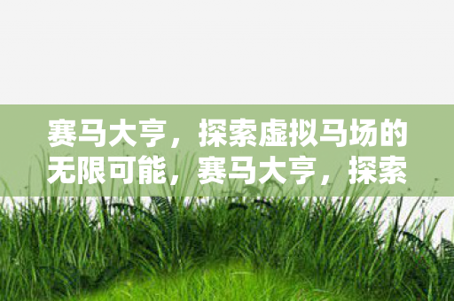 赛马大亨,探索虚拟马场的无限可能,赛马大亨,探索虚拟马场的无限可能 赛马大亨,探索虚拟马场的无限可能,赛马大亨,探索虚拟马场的无限可能