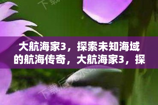 大航海家3，探索未知海域的航海传奇，大航海家3，探索未知海域的航海传奇之旅