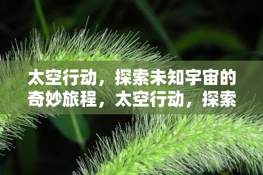太空行动,探索未知宇宙的奇妙旅程,太空行动,探索未知宇宙的奇妙旅程 太空行动,探索未知宇宙的奇妙旅程,太空行动,探索未知宇宙的奇妙旅程