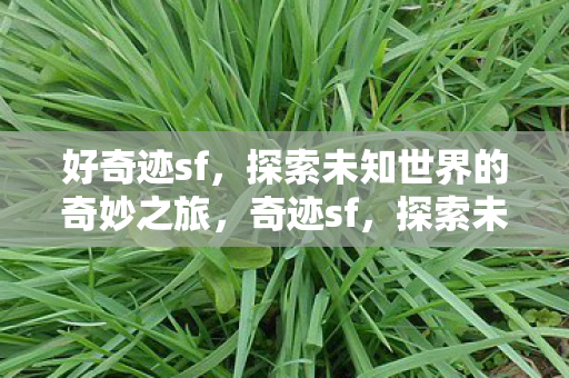 探索未知世界的奇妙之旅图片