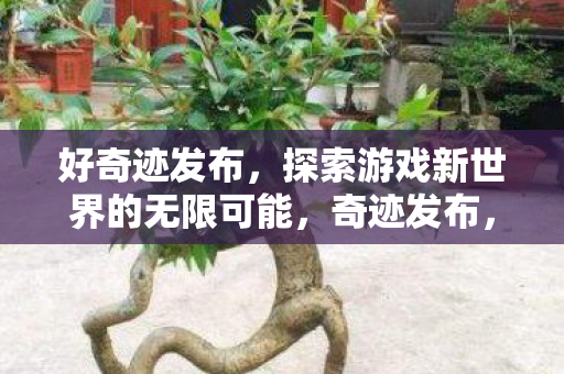 探索游戏新世界的无限可能图片