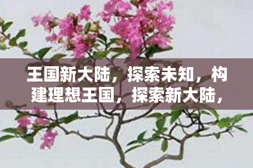 王国新大陆,探索未知,构建理想王国,探索新大陆,构建理想王国 王国新大陆,探索未知,构建理想王国,探索新大陆,构建理想王国