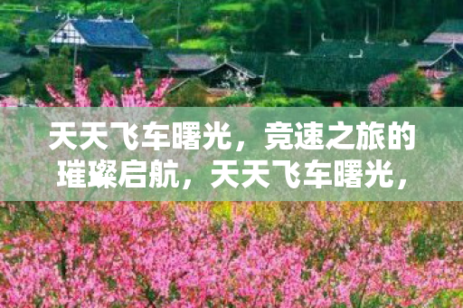 竞速之旅的璀璨启航图片