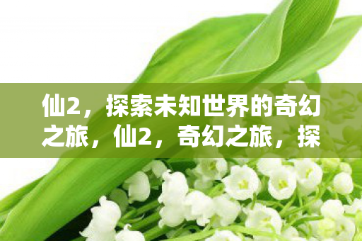探索未知世界的奇幻之旅图片