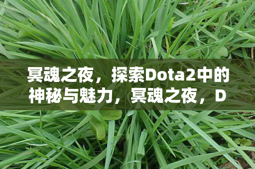 探索Dota2中的神秘与魅力图片