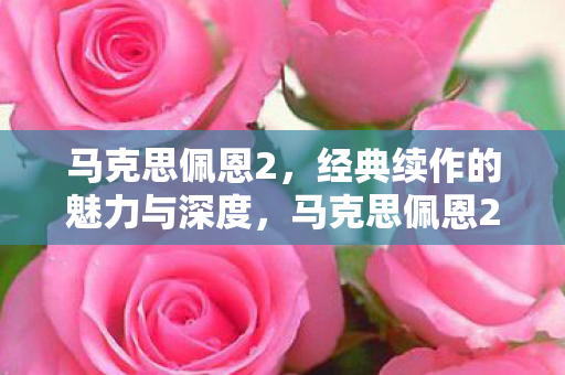 经典续作的魅力与深度图片