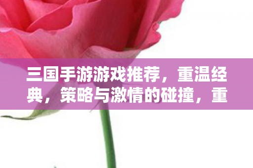 不容错过的三国手游推荐图片