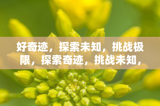 探索未知图片