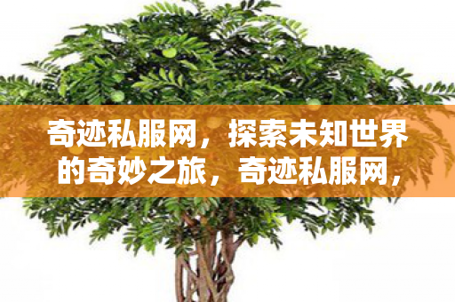 开启探索未知世界的奇妙旅程图片