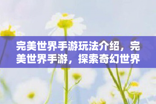 完美世界手游玩法介绍图片