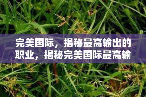 完美国际，揭秘最高输出的职业，揭秘完美国际最高输出职业，谁才是战场上的绝对王者？