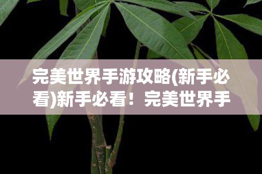 完美世界手游攻略全解析图片