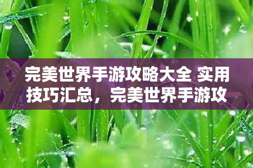 完美世界手游攻略大全 实用技巧汇总图片