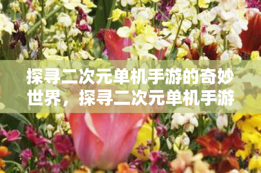 探寻二次元单机手游的奇妙世界图片