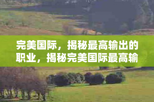 揭秘完美国际最高输出职业图片