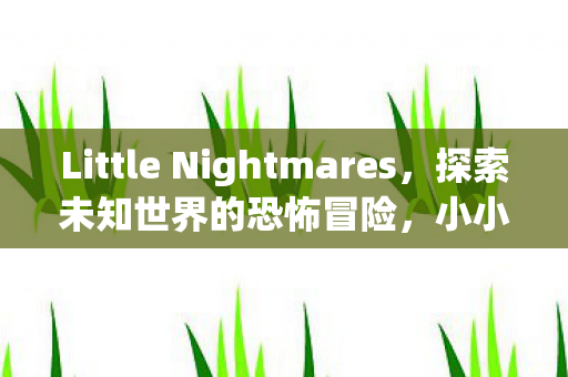 Little Nightmares,探索未知世界的恐怖冒险,小小噩梦,探索未知世界的恐怖冒险之旅 Little Nightmares,探索未知世界的恐怖冒险,小小噩梦,探索未知世界的恐怖冒险之旅