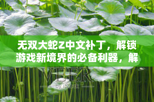 无双大蛇Z中文补丁必备利器图片