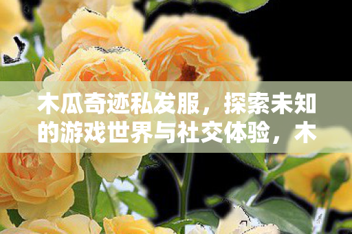 探索未知的游戏世界与社交体验图片