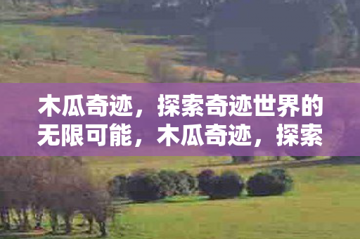 探索奇迹世界的无限可能图片