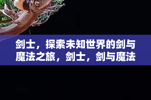 剑士,探索未知世界的剑与魔法之旅,剑士,剑与魔法的未知世界之旅 剑士,探索未知世界的剑与魔法之旅,剑士,剑与魔法的未知世界之旅