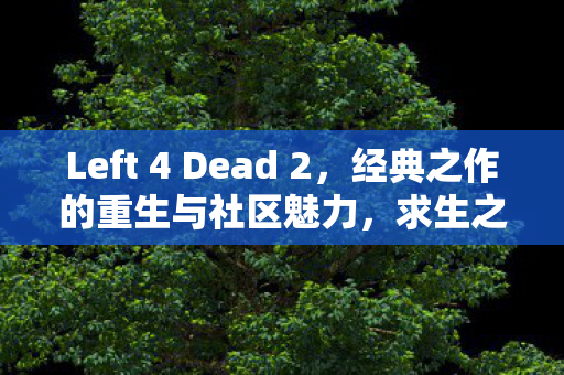 Left 4 Dead 2,经典之作的重生与社区魅力,求生之路2,经典重生与社区魅力 Left 4 Dead 2,经典之作的重生与社区魅力,求生之路2,经典重生与社区魅力