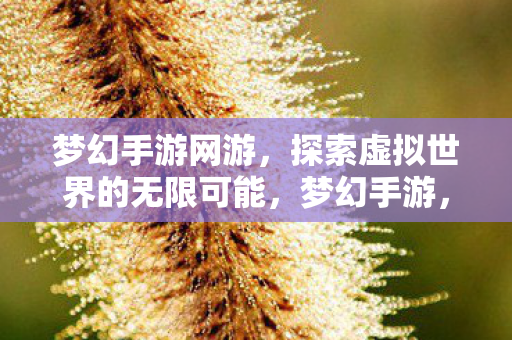 梦幻手游网游,探索虚拟世界的无限可能,梦幻手游,探索虚拟世界的无限可能 梦幻手游网游,探索虚拟世界的无限可能,梦幻手游,探索虚拟世界的无限可能