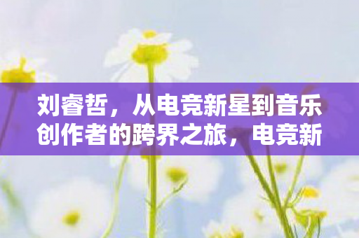 刘睿哲,从电竞新星到音乐创作者的跨界之旅,电竞新星跨界成音乐创作者,刘睿哲的跨界之旅 刘睿哲,从电竞新星到音乐创作者的跨界之旅,电竞新星跨界成音乐创作者,刘睿哲的跨界之旅