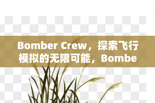 Bomber Crew,探索飞行模拟的无限可能,Bomber Crew,探索飞行模拟的无限可能 Bomber Crew,探索飞行模拟的无限可能,Bomber Crew,探索飞行模拟的无限可能