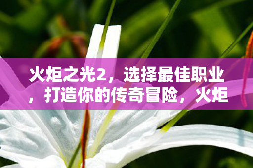 火炬之光2,选择最佳职业,打造你的传奇冒险,火炬之光2职业选择指南,打造你的传奇冒险之旅 火炬之光2,选择最佳职业,打造你的传奇冒险,火炬之光2职业选择指南,打造你的传奇冒险之旅