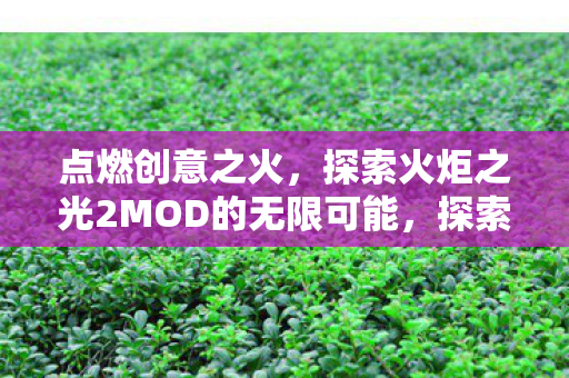 点燃创意之火,探索火炬之光2MOD的无限可能,探索无限可能,火炬之光2MOD的创意之火 点燃创意之火,探索火炬之光2MOD的无限可能,探索无限可能,火炬之光2MOD的创意之火