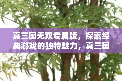 真三国无双专属版,探索经典游戏的独特魅力,真三国无双专属版,探索经典游戏的独特魅力 真三国无双专属版,探索经典游戏的独特魅力,真三国无双专属版,探索经典游戏的独特魅力