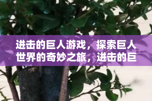 进击的巨人游戏，探索巨人世界的奇妙之旅，进击的巨人游戏，探索巨人世界的奇妙冒险之旅