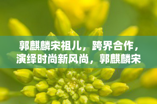 郭麒麟宋祖儿跨界合作演绎时尚新风尚图片
