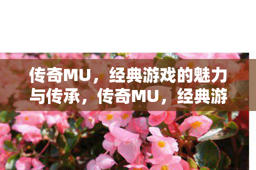 经典游戏的魅力与传承图片