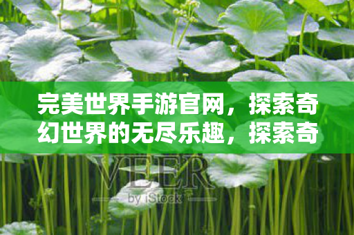 探索奇幻世界的无尽乐趣图片