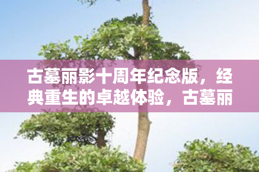 古墓丽影十周年纪念版,经典重生的卓越体验,古墓丽影十周年纪念版,经典重生,卓越体验 古墓丽影十周年纪念版,经典重生的卓越体验,古墓丽影十周年纪念版,经典重生,卓越体验